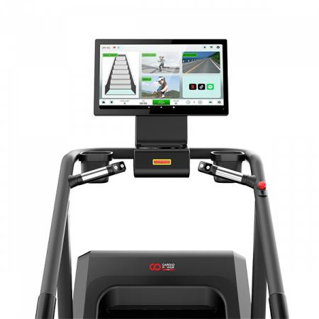 Лестница степпер Сardio Power SP 650