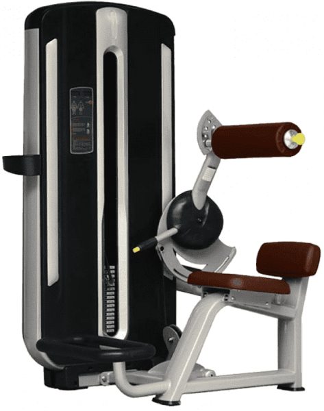 Разгибание спины Bronze Gym MNM-009